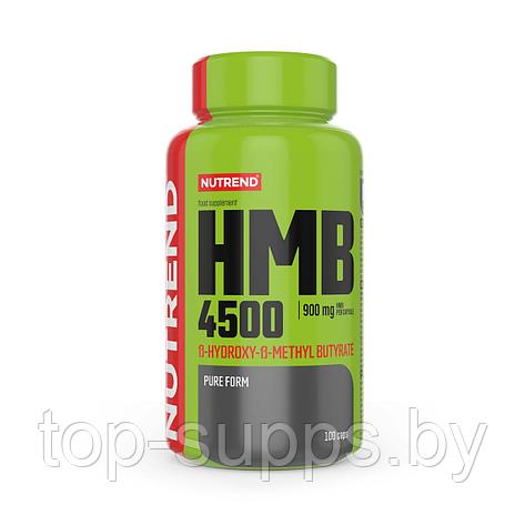 Nutrend s1viecUYhiAXo1wmEzQnK2, фото 2