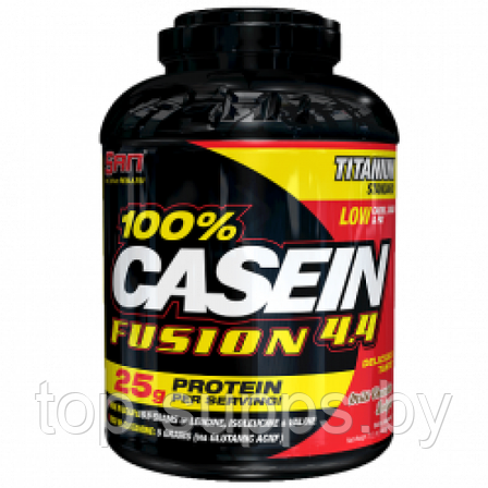 SAN Casein Fusion, фото 2
