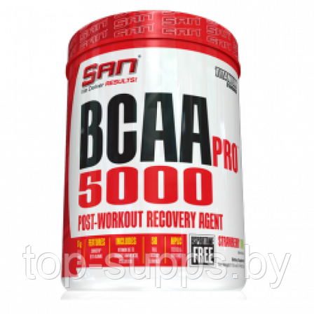SAN BCAA PRO 5000, фото 2