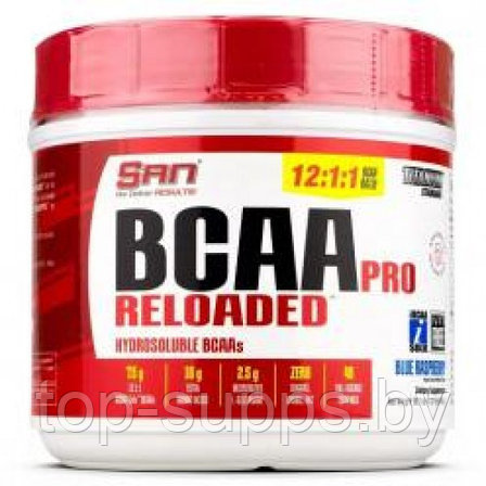 SAN BCAA Pro Reloaded, фото 2