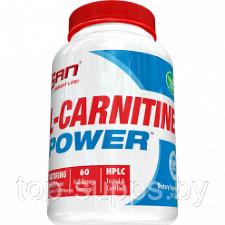 SAN L-Carnitine Power, фото 2