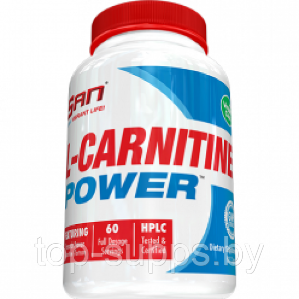 SAN L-Carnitine Power - фото 1 - id-p208806148