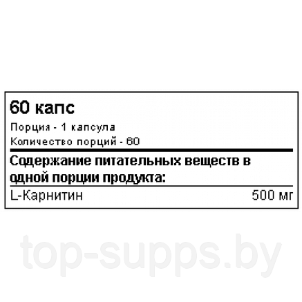 SAN L-Carnitine Power, фото 2