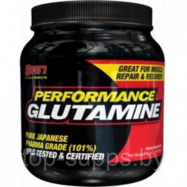 SAN Performance Glutamine - фото 1 - id-p208806162