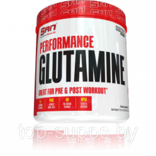 SAN Performance Glutamine - фото 1 - id-p208806163
