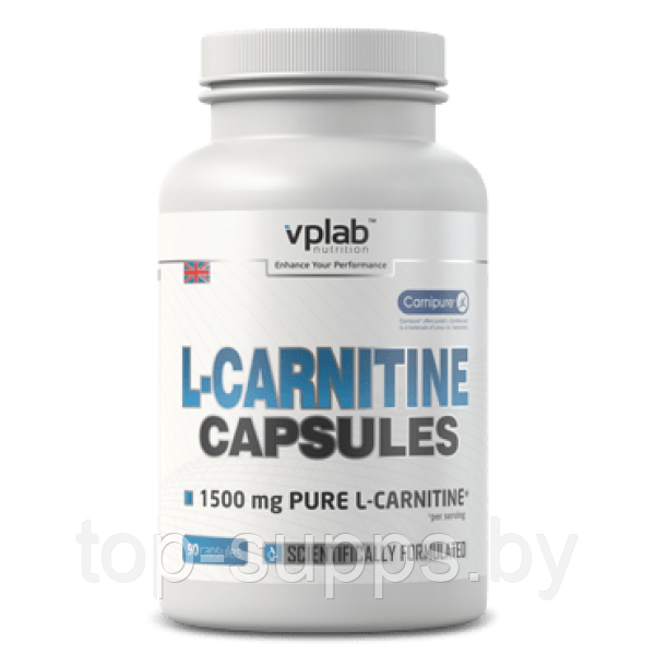 VPLab L-carnitine - фото 1 - id-p208806213