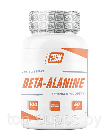 2SN Beta Alanine from 2SN, 600 mg (100 caps), фото 2