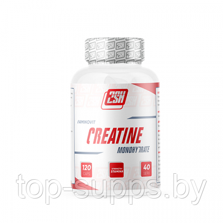 2SN Creatine from 2SN, 750 mg (120 caps), фото 2