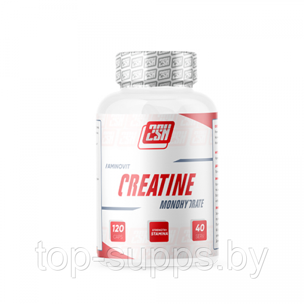 2SN Creatine from 2SN, 750 mg (120 caps) - фото 1 - id-p208806380