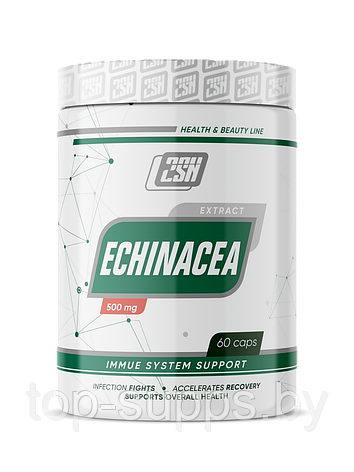 2SN Echinacea from 2SN, 500 mg (60 caps), фото 2