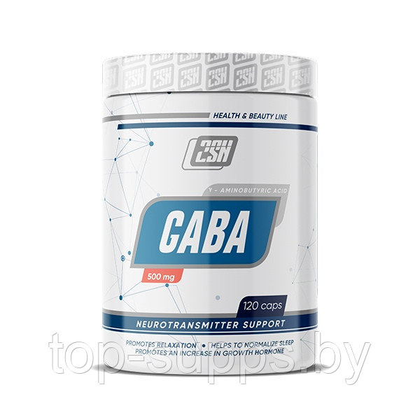 2SN GABA from 2SN, 500 mg (120 caps) - фото 1 - id-p208806385