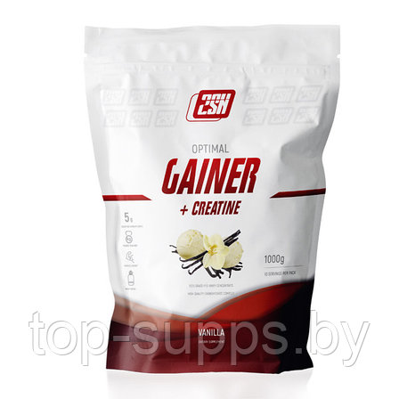 2SN Gainer + Creatine from 2SN, 1000 g (10 servings), фото 2