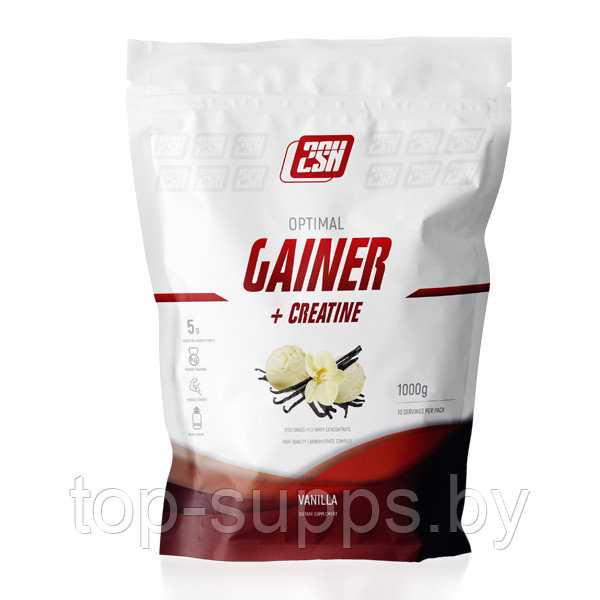 2SN Gainer + Creatine from 2SN, 1000 g (10 servings) - фото 1 - id-p208806387