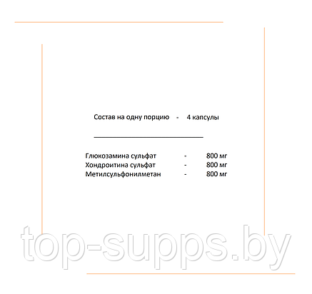 2SN Glucosamine + Chondroitin + MSM from 2SN, 600 mg (100 caps), фото 2