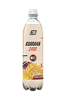 2SN Guarana 2400 from 2SN with natural juice (0,5 l)