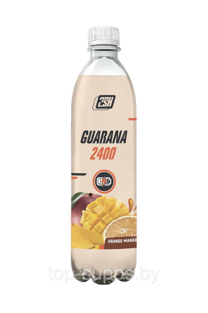 2SN Guarana 2400 from 2SN with natural juice (0,5 l) - фото 1 - id-p208806395