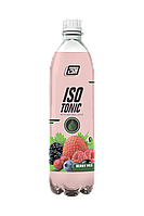 2SN Isotonic with natural juice from 2SN (0,5 l)