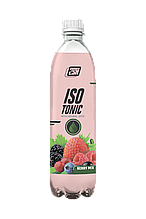 2SN Isotonic with natural juice from 2SN (0,5 l)