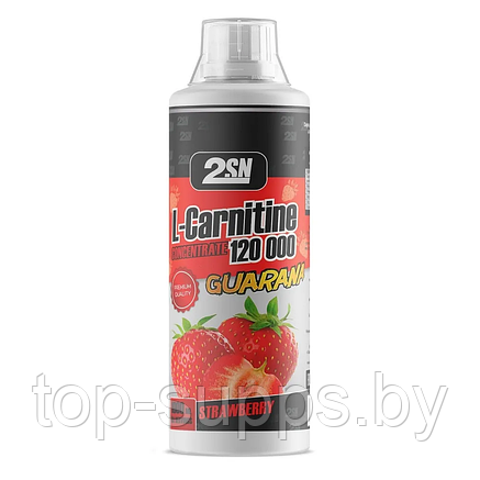 2SN L-carnitine + Guarana from 2SN, 1000 ml (100 servings), фото 2