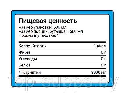 2SN L-Carnitine 3000 with natural juice from 2SN (0,5 l), фото 2