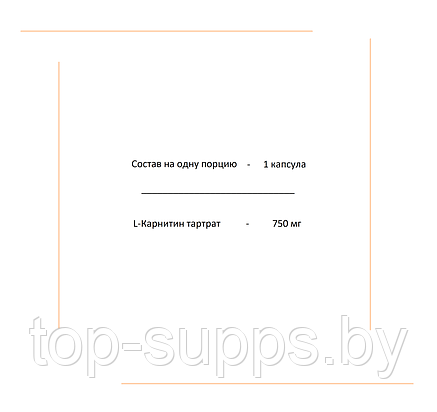 2SN L-Carnitine from 2SN, 750 mg (90 caps), фото 2