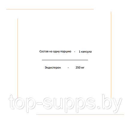 2SN Mega Ecdysterone from 2SN 250 mg (30 caps), фото 2