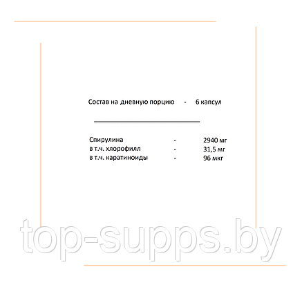 2SN Spirulina from 2SN, 500 mg (60 tablets), фото 2