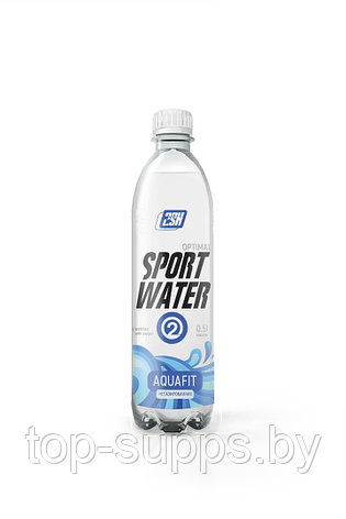 2SN Sport Water from 2SN (0,5 l), фото 2