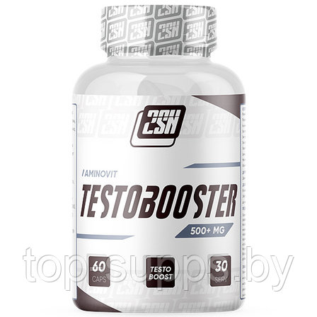 2SN Testobooster from 2SN, 500 mg (60 caps), фото 2