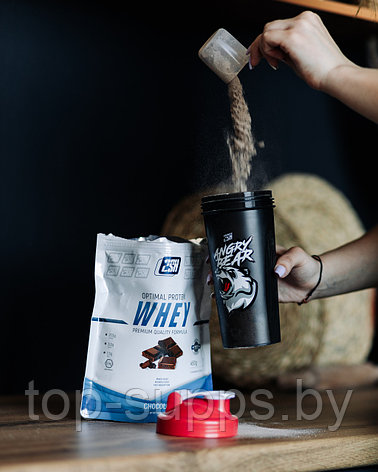 2SN Whey Protein from 2SN, 450 g (12 servings), фото 2
