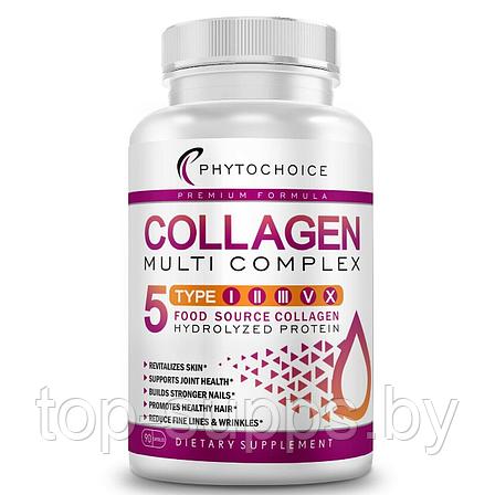 Phytochoice Collagen Multi Complex I-X from Phytochoice (90 caps), фото 2