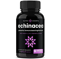 NutraChamps Echinacea from NutraChamps, 1000 mg (60 caps)