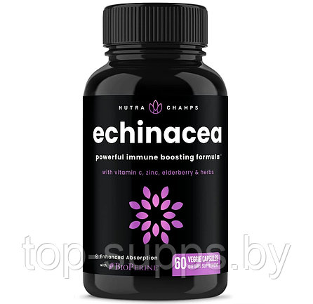 NutraChamps Echinacea from NutraChamps, 1000 mg (60 caps), фото 2