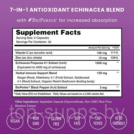 NutraChamps Echinacea from NutraChamps, 1000 mg (60 caps), фото 2