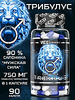 RegPharm Трибулус 90 капс