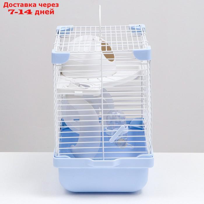 Клетка для грызунов укомплектованная, 27 х 19 х 28 см, голубая - фото 3 - id-p208767762