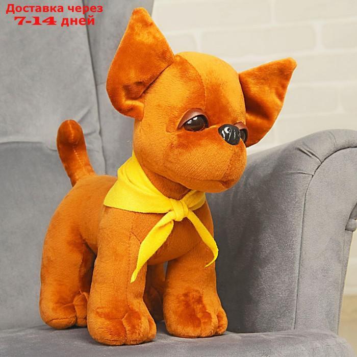 Мягкая игрушка "Собачка Чи-Хуа-Хуа", 35 см - фото 3 - id-p208766458