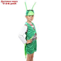 Карнавальный костюм "Кузнечик", 3-5 лет, рост 104-116 см