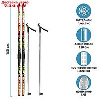 Комплект лыжный БРЕНД ЦСТ Step, 160/120 (+/-5 см), крепление SNS, цвет МИКС