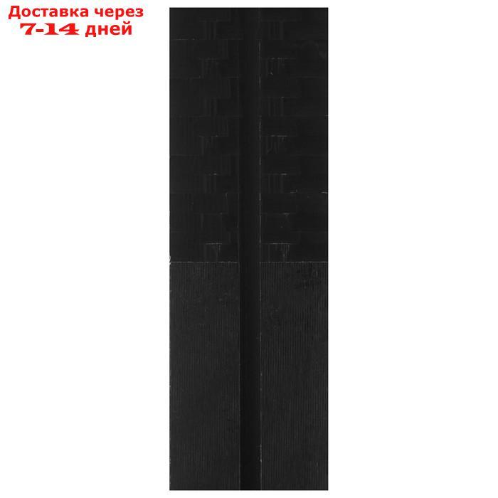 Комплект лыжный БРЕНД ЦСТ Step, 160/120 (+/-5 см), крепление SNS, цвет МИКС - фото 4 - id-p208767827