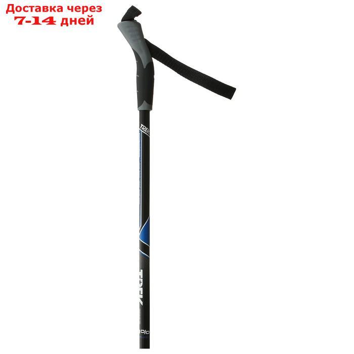 Комплект лыжный БРЕНД ЦСТ Step, 160/120 (+/-5 см), крепление SNS, цвет МИКС - фото 5 - id-p208767827