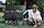 Садовый сундук SHERWOOD STORAGE BOX, коричневый, фото 2