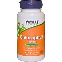 Биологически активная добавка NOW Chlorophyll, 100мг/90капс.