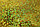 Самоклеющаяся пленка 45см (голография желтый) LB-031B, фото 2