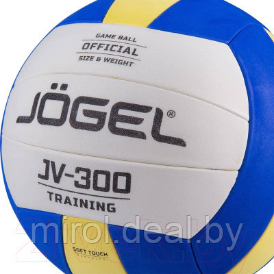 Мяч волейбольный Jogel BC21 / JV-300 - фото 3 - id-p208879951