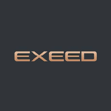 Автомобильные коврики для EXEED