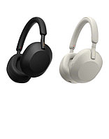 Наушники с микрофоном Sony WH-1000XM4