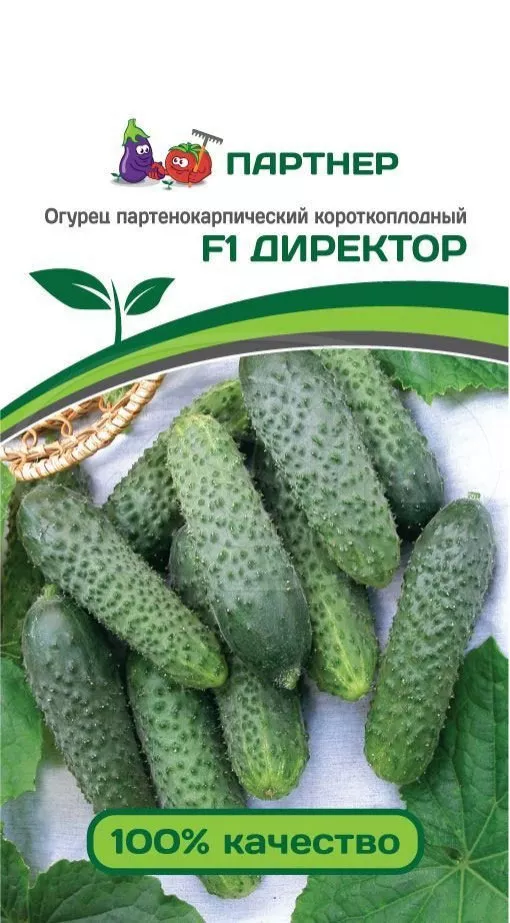 Огурец Директор F1 5шт Партнер, фото 1