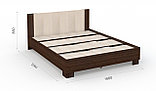 Кровать "Аврора" 160*200 с основанием венге/дуб молочный, фото 2