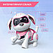 Робот собака «Чаппи» IQ BOT, интерактивный: сенсорный, свет, звук, музыкальный, танцующий, на аккумуляторе, на, фото 5